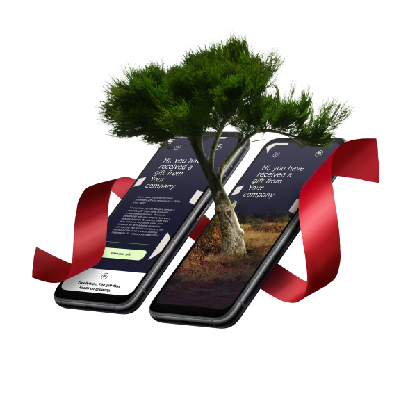 treebytree_phone_tree_mockup-update_double-phone