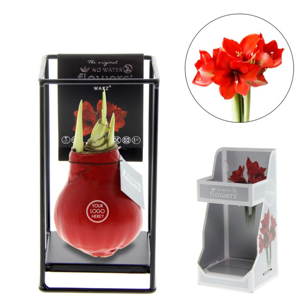 No Water Flowers® - Formz industrial in giftbox