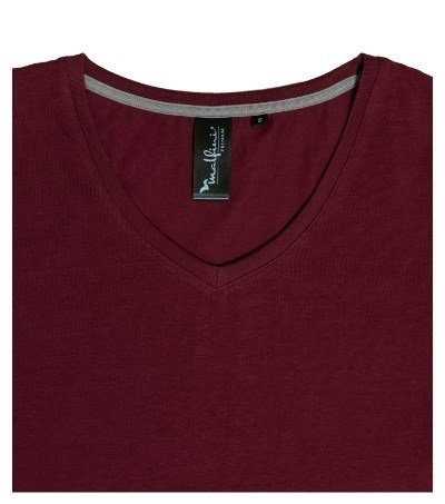 Action V-neck formula red