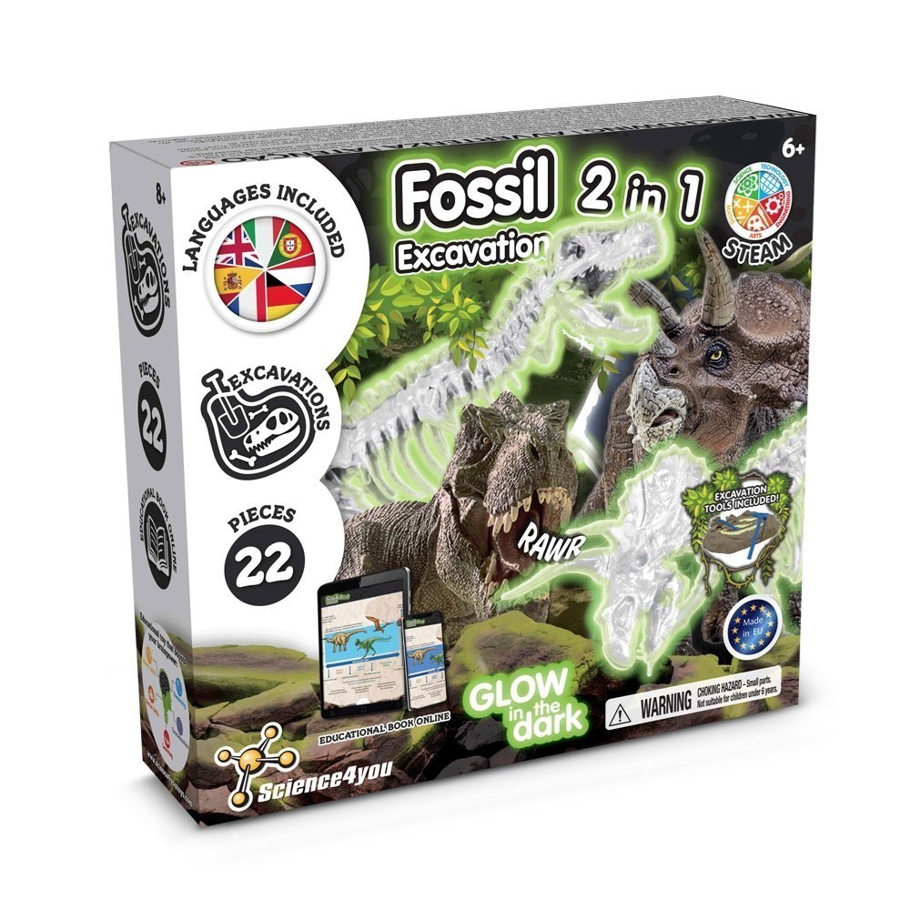 2 in 1 Fossil Excavation Kit I. Educatief spel voor kinderen