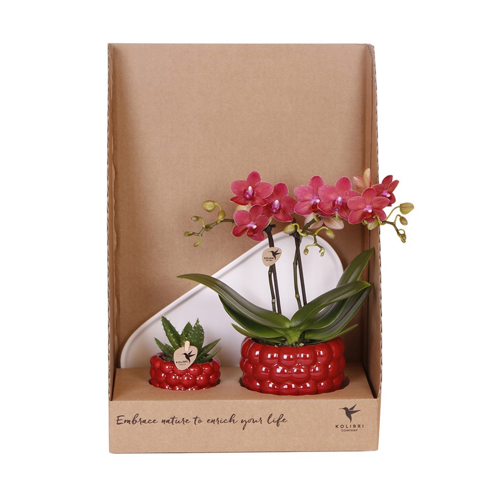 Botanical Giftset small - Fruitful Radiance