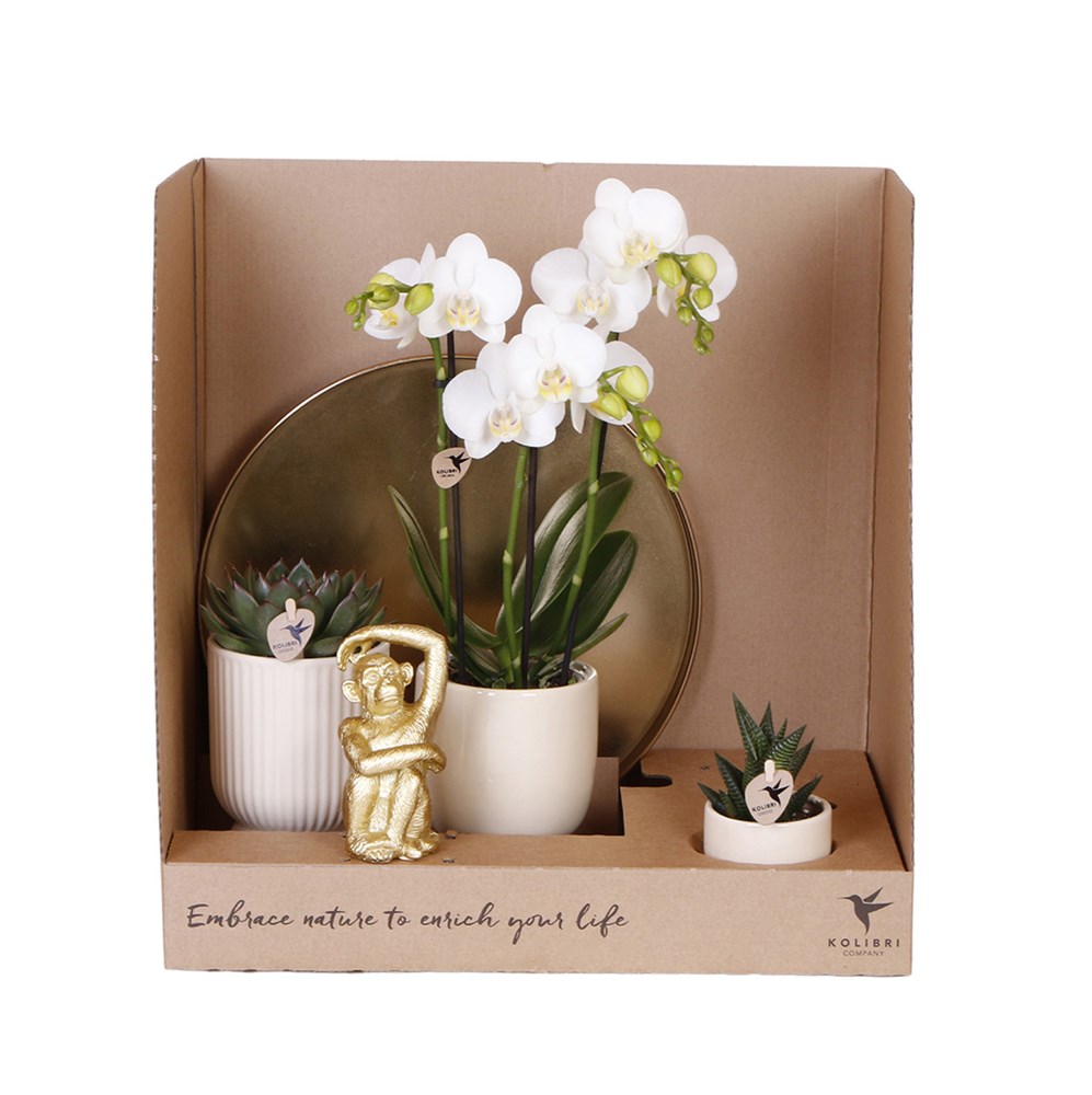 Botanical Giftset large - Travertine Charm