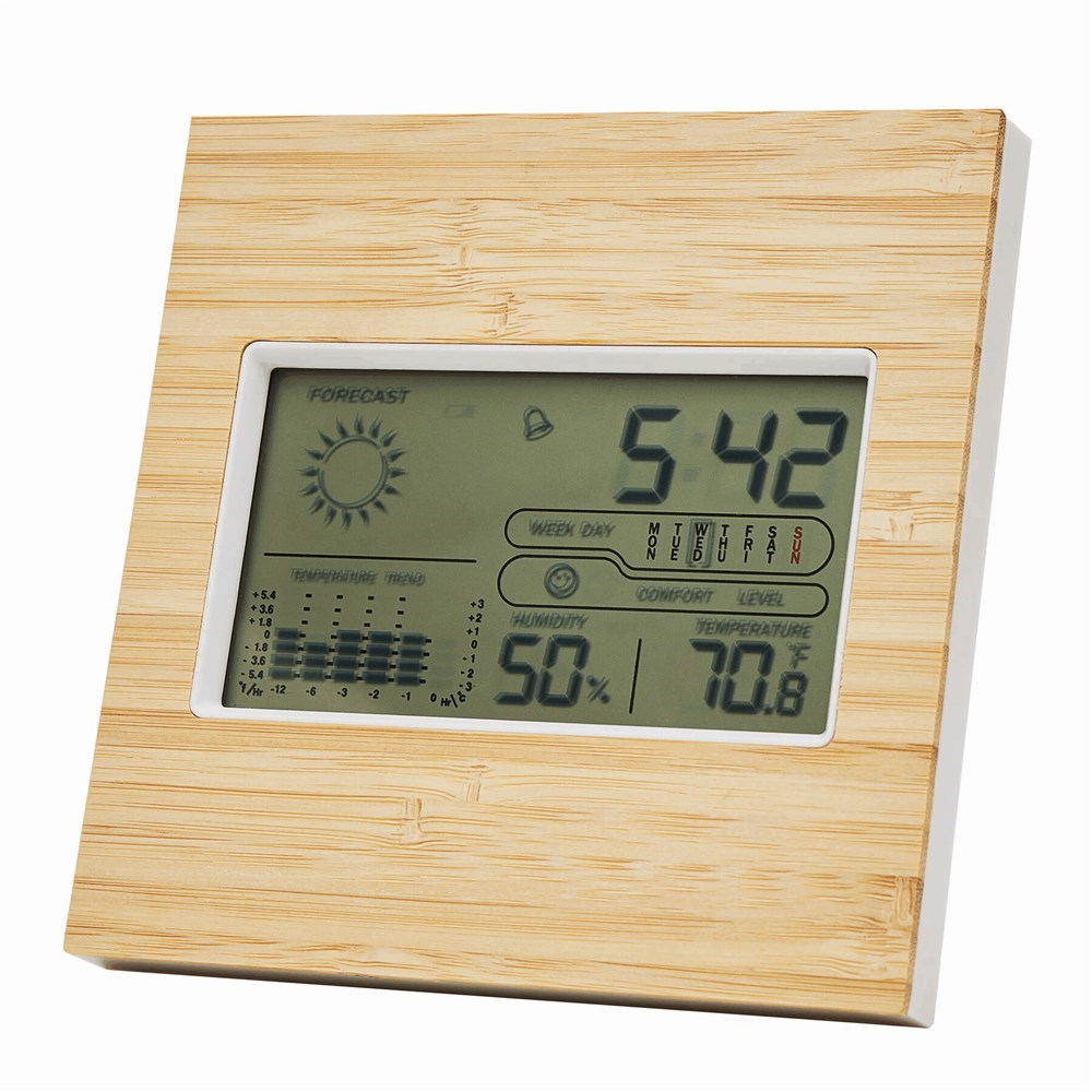 Weerstation FORECAST