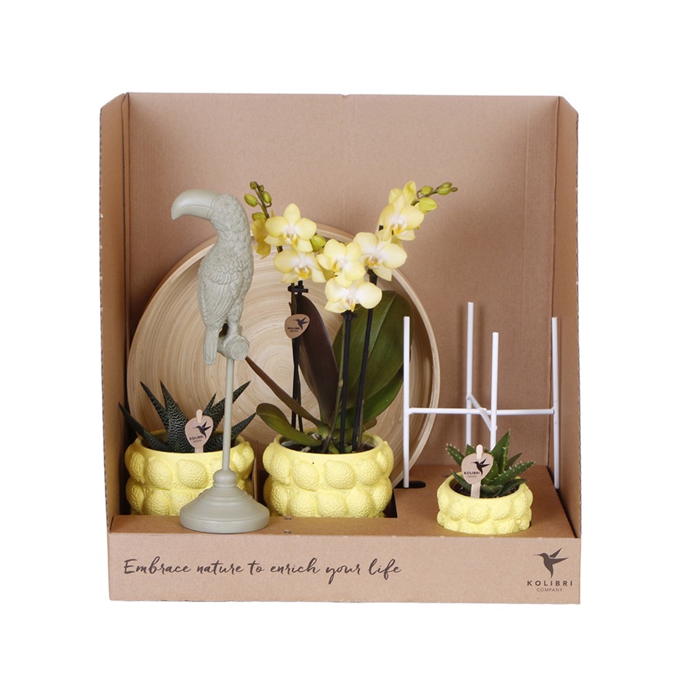 Botanical Giftset large - Zestful Radiance