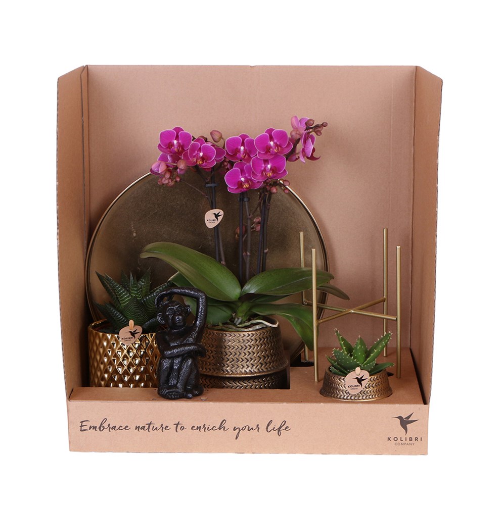 Botanical Giftset large - Refined Grace